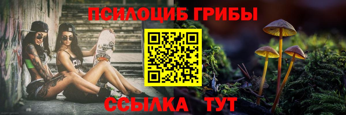 Галлюциногенные грибы GOLDEN TEACHER Мурманск